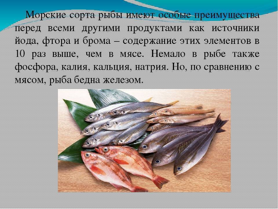 Навага что за рыба и как ее готовить, рецепты приготовления вкусно, где обитает и чем полезна, виды вахни с фото