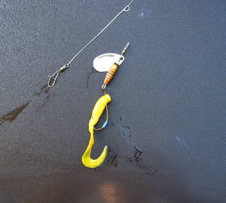 Ловля окуня на джиг: особенности и тонкости ужения - читайте на сatcher.fish