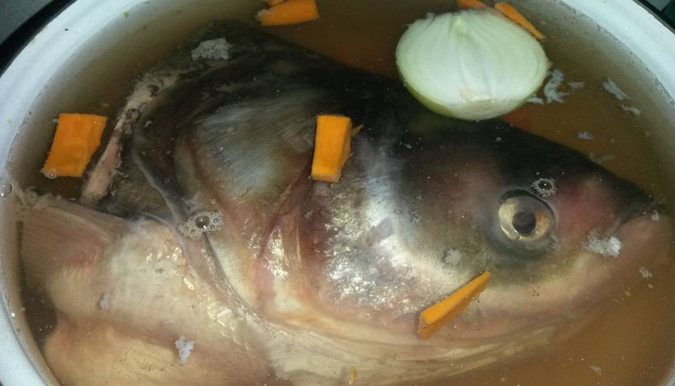 Уха из головы толстолобика – рыбные рецепты