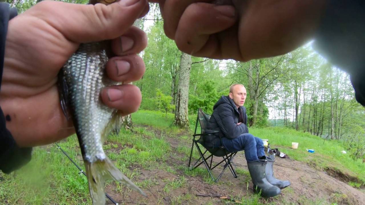 Рыбалка на загорском водохранилище » отдых на природе. места, статьи, события.