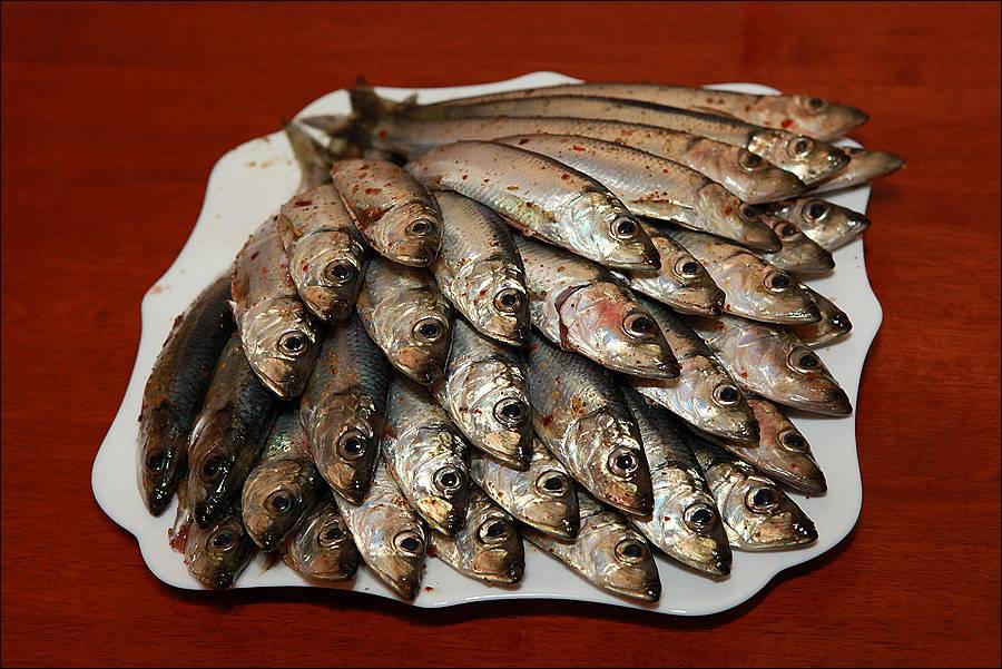 Рыба салака: полезные свойства и противопоказания для здоровья