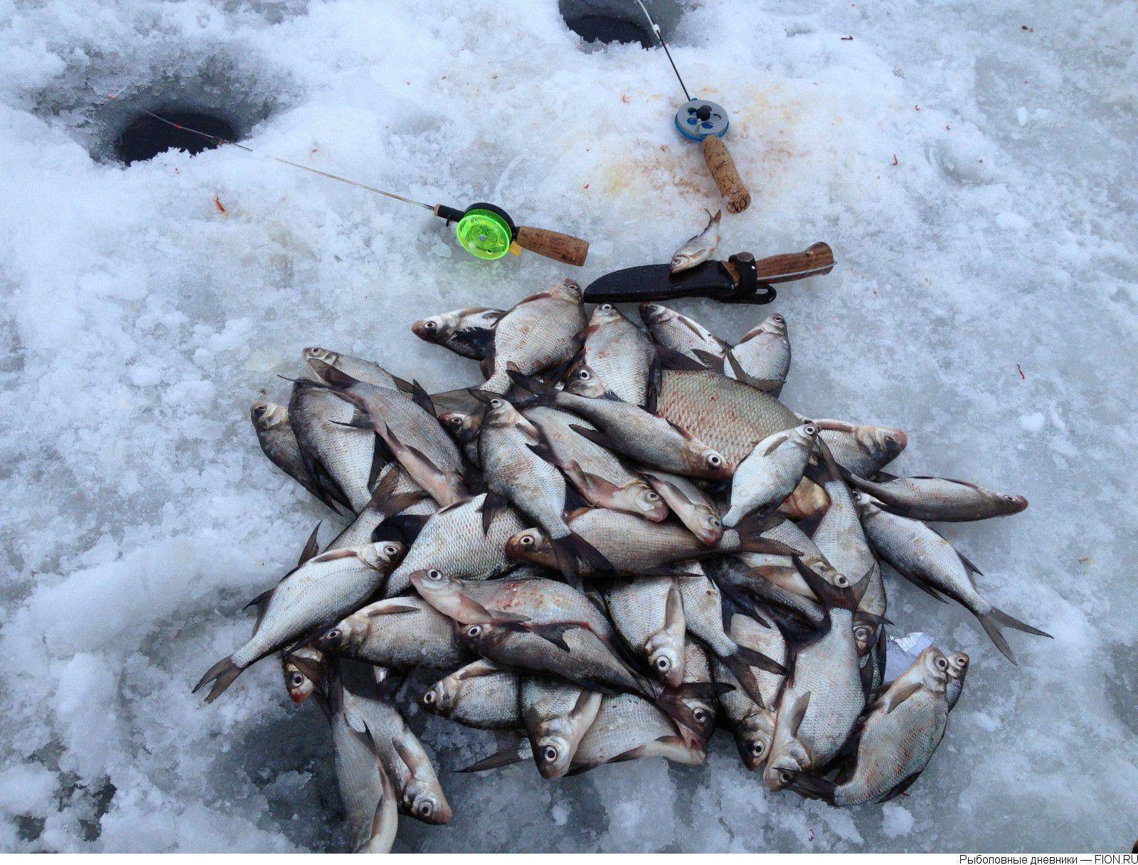 Рыбалка в шатуре: отзывы. шатурские озера: святое, муромское, белое и чёрное