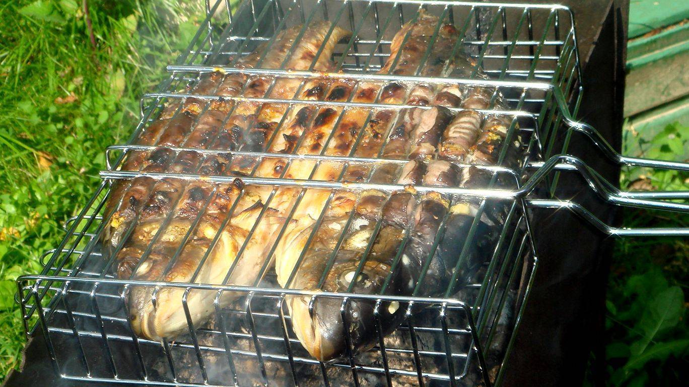 Шашлык из рыбы: какую рыбу лучше выбрать, чтобы жарить на мангале