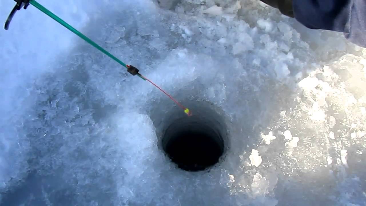 Видео ловли рыбы зимой. Ловля окуня зимой на мормышку с мотылем.