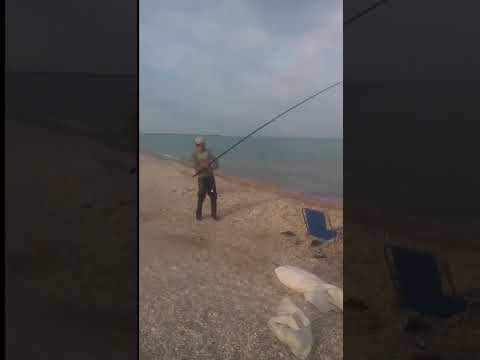 Рыбалка на азовском море с берега: какая рыба водится, на что ловить