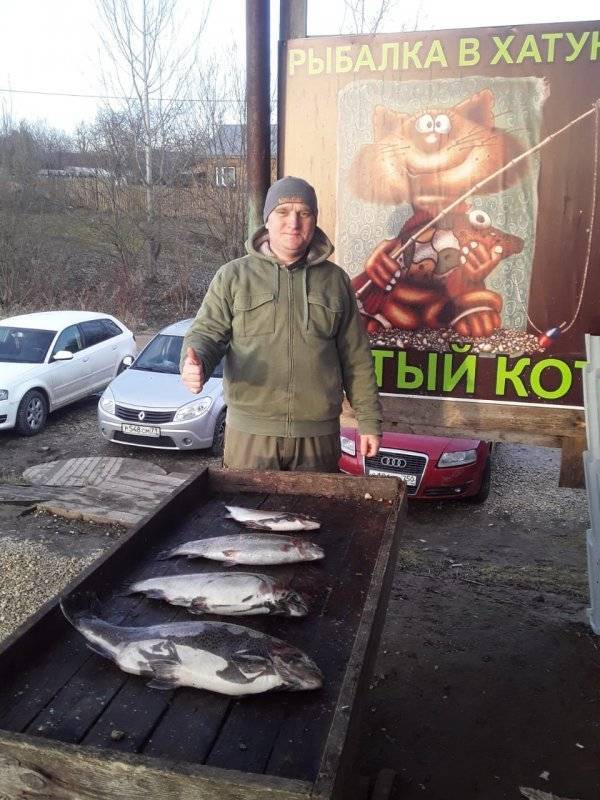 Платная рыбалка в подмосковье без нормы вылова - клубы, стоимость путевки