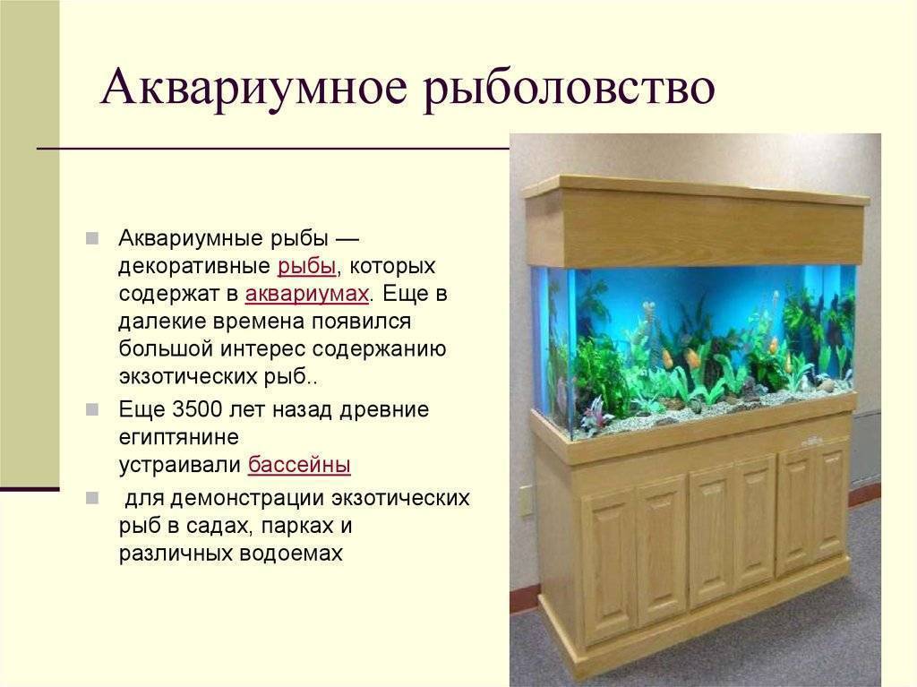 Водородный показатель воды (ph) | статьи о воде - водабриз.ру