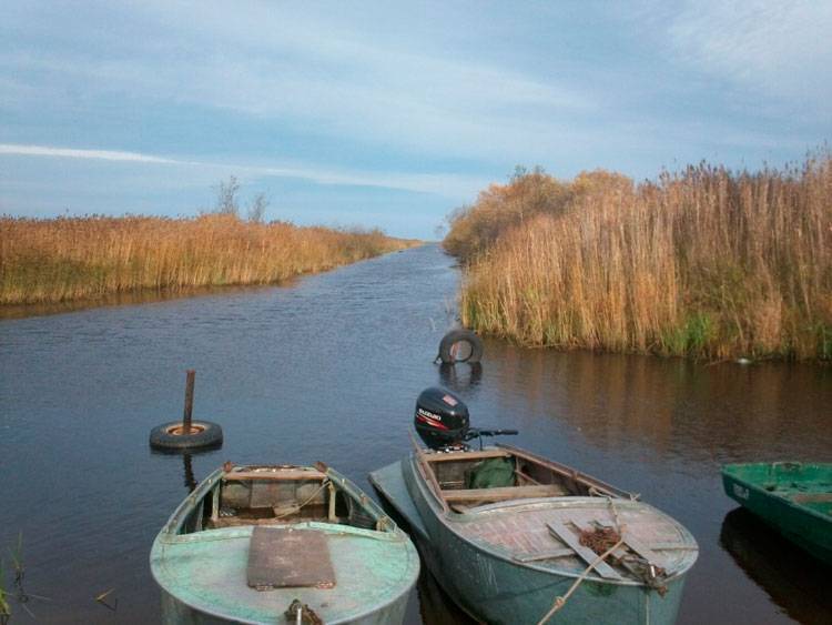 какая рыба водится в ладожском озере в карелии. Смотреть фото какая рыба водится в ладожском озере в карелии. Смотреть картинку какая рыба водится в ладожском озере в карелии. Картинка про какая рыба водится в ладожском озере в карелии. Фото какая рыба водится в ладожском озере в карелии