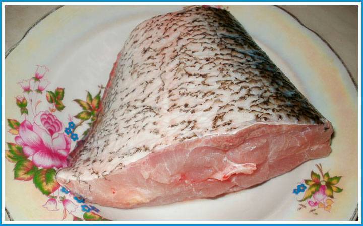 Рецепты приготовления толстолобика: лучшие блюда из рыбы