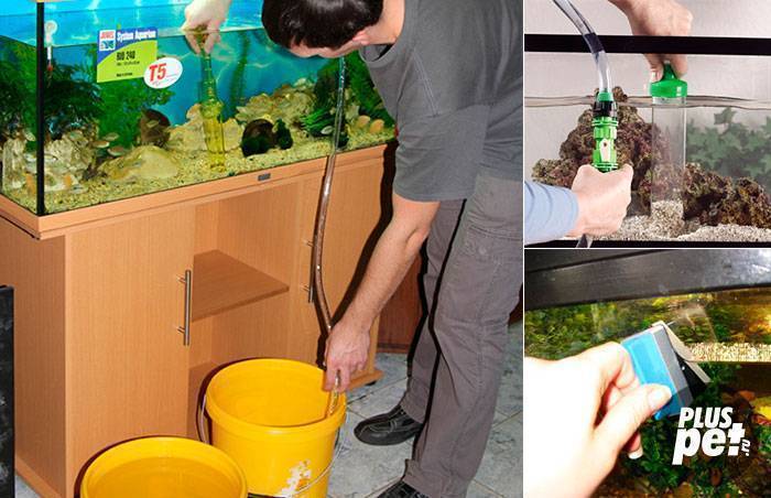 Инструкция для подготовки воды в аквариум