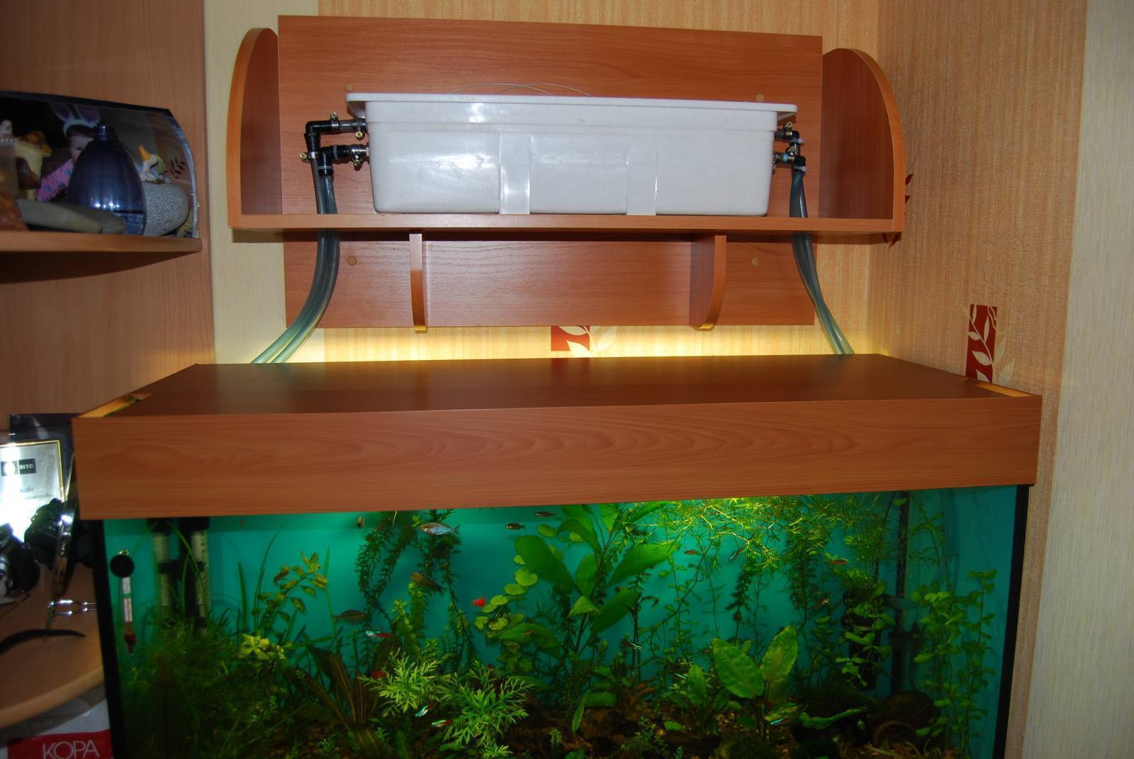 Все о донном фильтре: чистый аквариум без лишнего оборудования