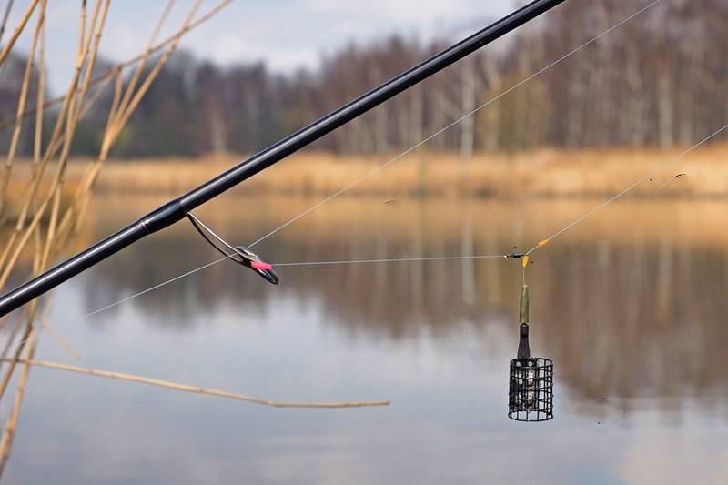 Ловля на фидер: как ловить, видео для начинающих, устройство снасти для рыбалки