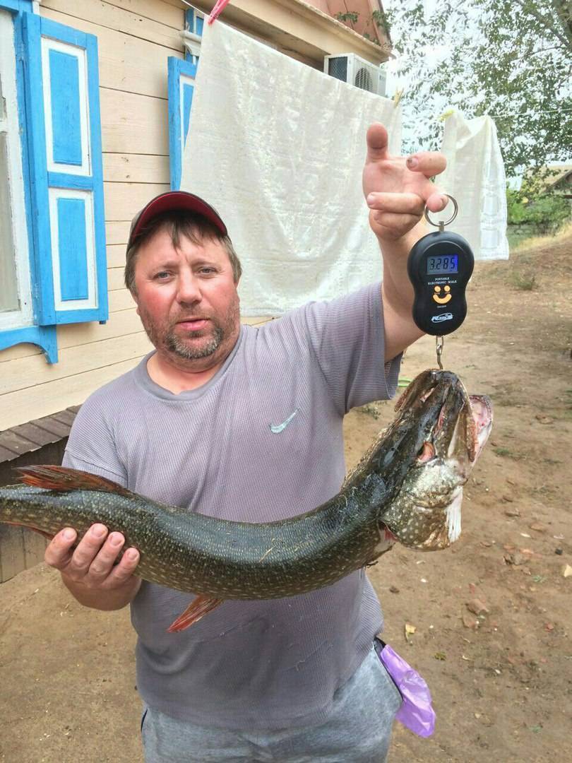 Рыбалка в ольгово (дмитровский район): особенности, видовой состав рыб, техника ловли