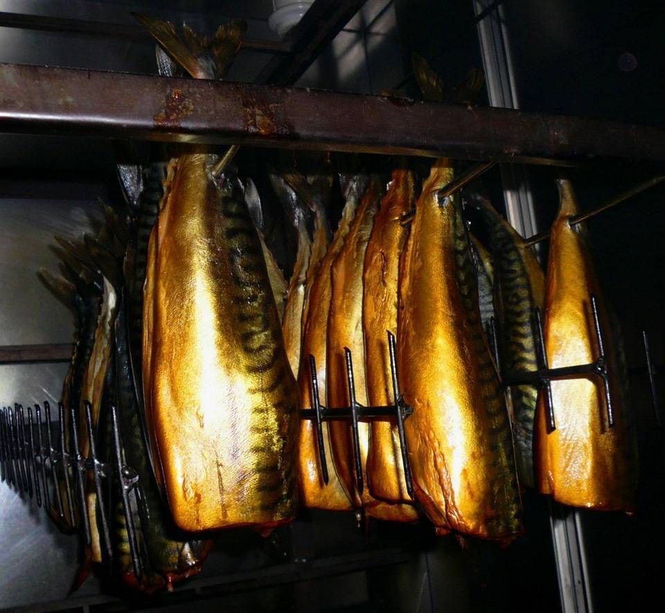 Холодное копчение рыбы в домашних условиях