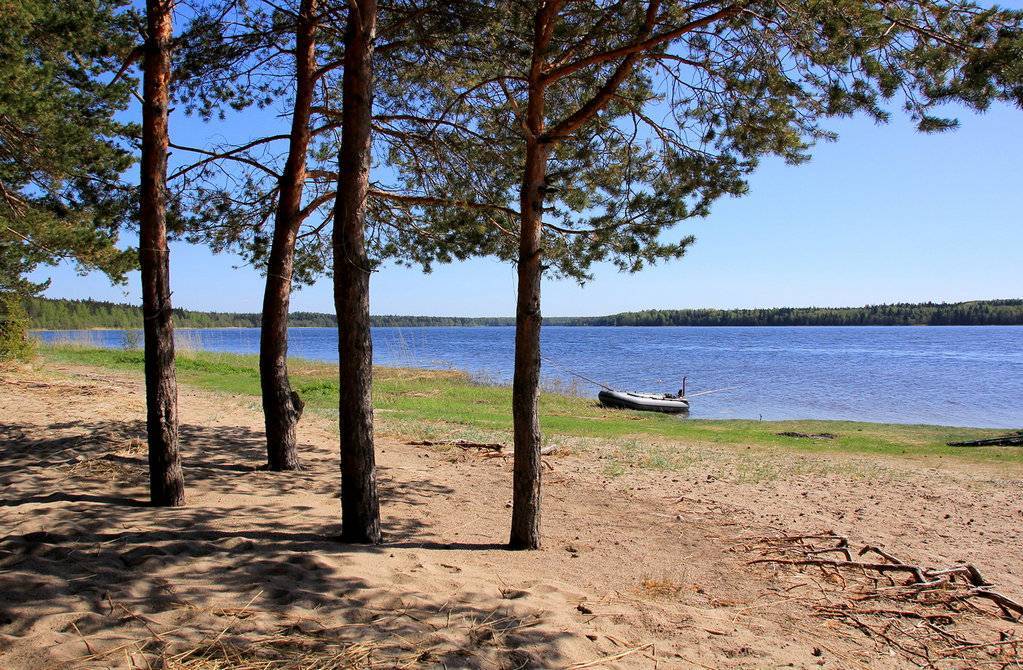 Озеро красное, ленинградская область —  курорт, санаторий, пляж, рыбалка, фото, на карте, как добраться