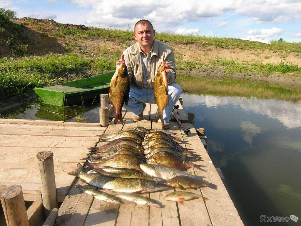 Особенности рыбалки на медвежьем озере в щелковском районе московской области