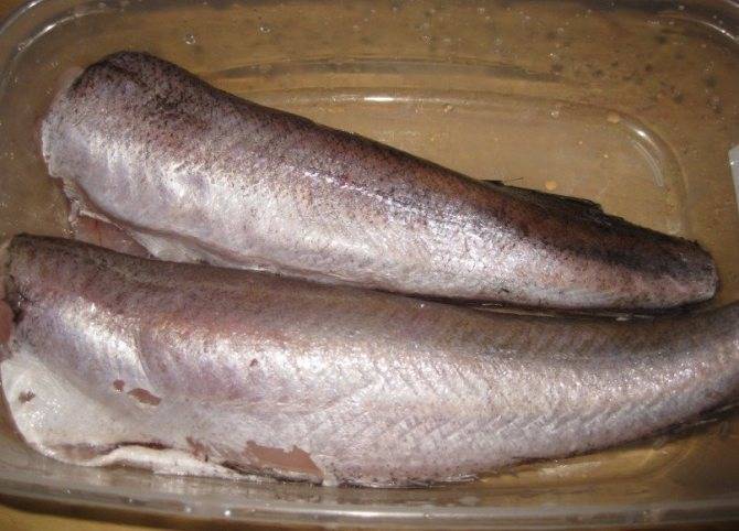 Что за рыба макрорус и как ее готовить