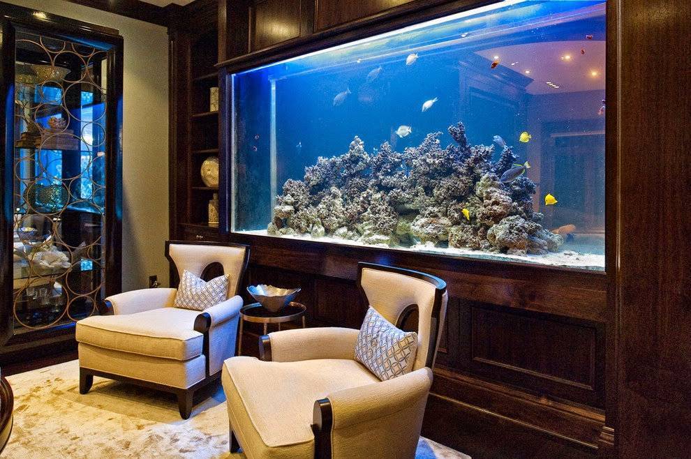 Маленький аквариум и каких рыбок заселить?