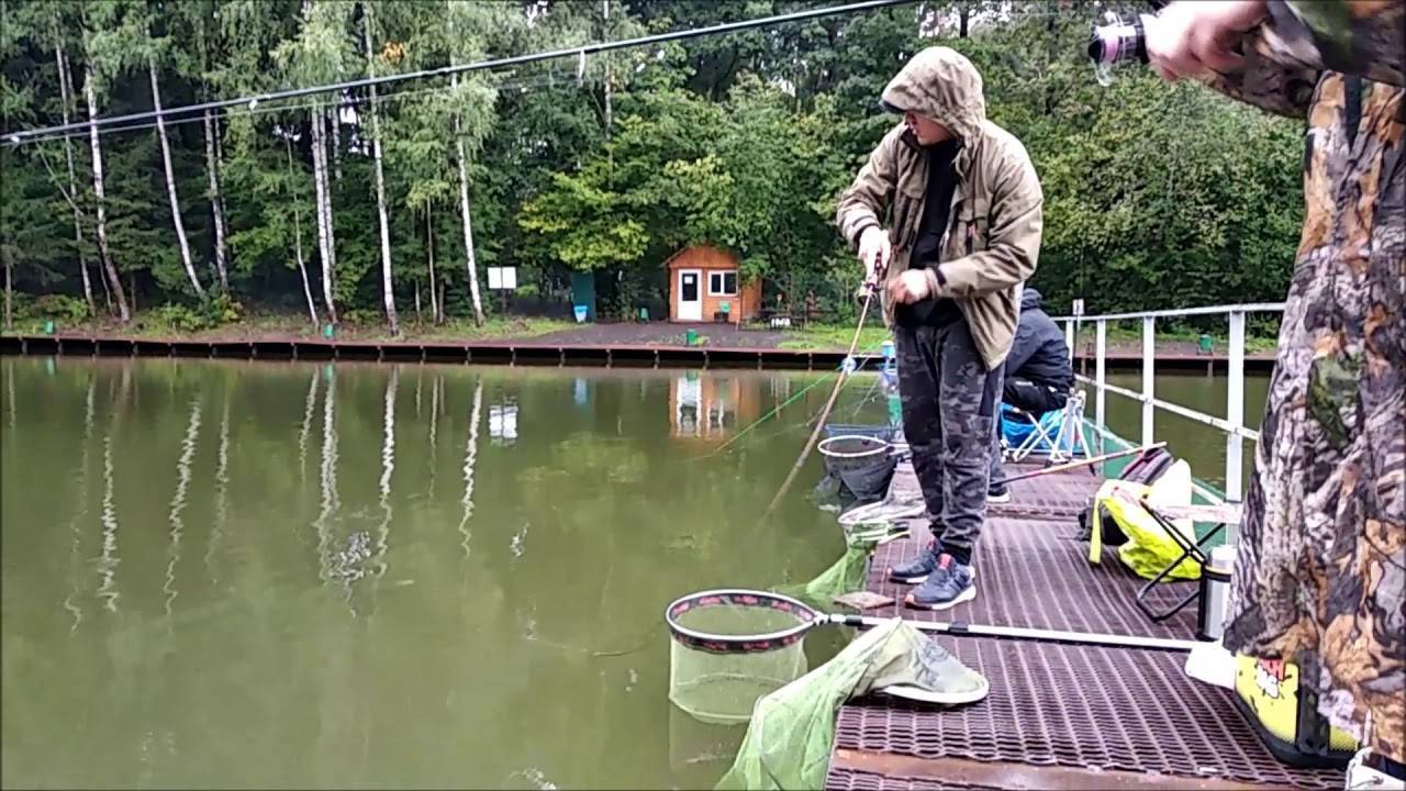 Услуги — клевое место "лосиный остров"