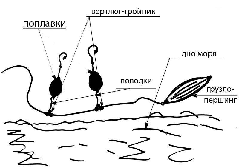 Ставрида черноморская: описание, образ жизни, ловля на самодур