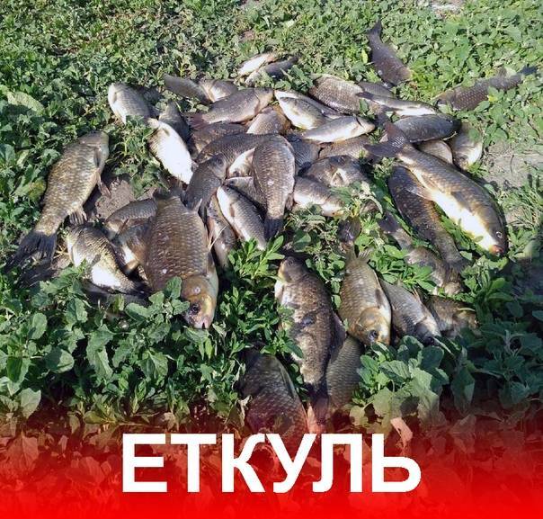 Озеро уелги