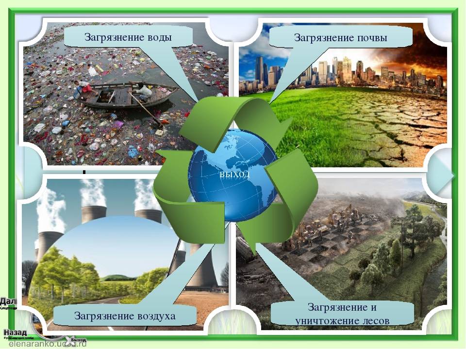 На карте схеме современного экологического состояния следует отображать