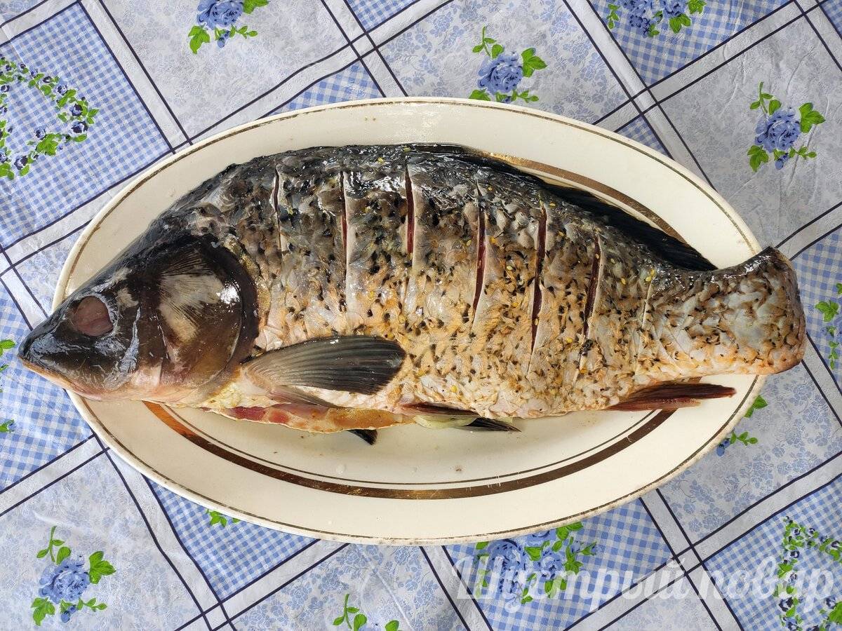 Жареный карп на сковороде – 4 вкусных рецепта приготовления рыбы