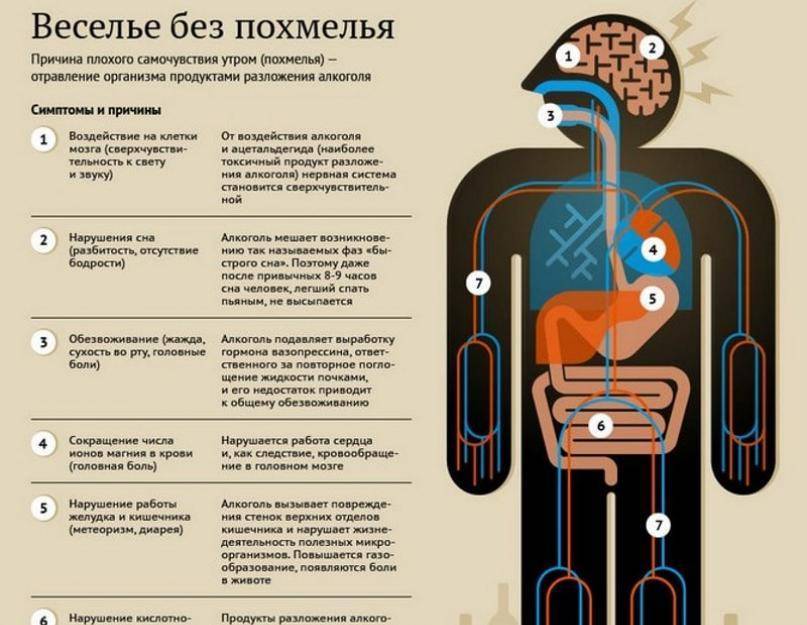 Проверенные методы прекращения рвоты после алкогольной интоксикации: медикаменты и народные способы | medeponim.ru