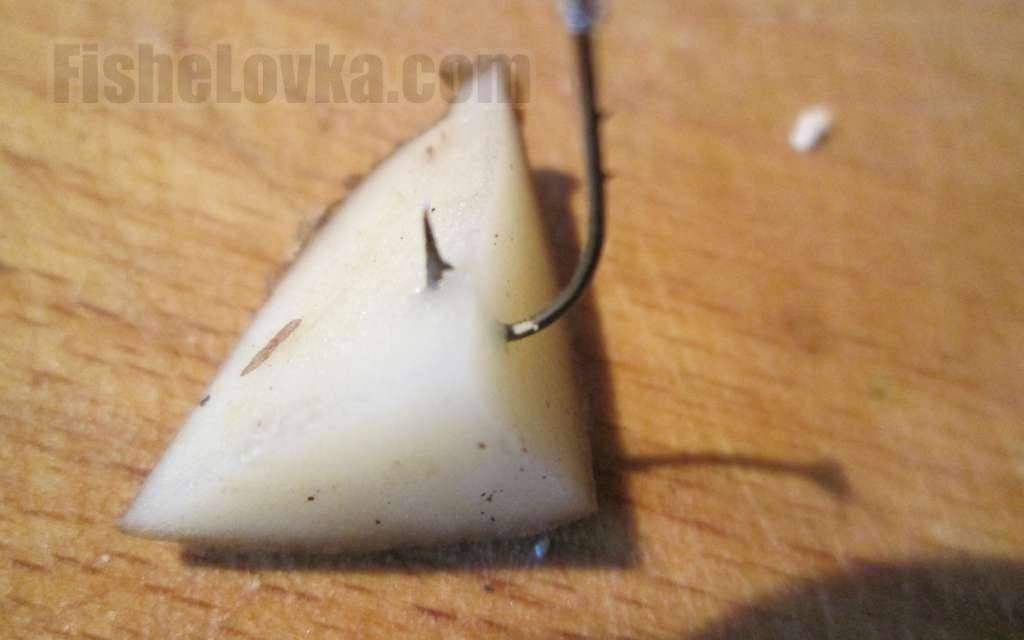 Картофель: посадка и уход в открытом грунте, выращивание из семян, уборка, хранение, фото