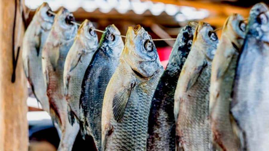 Как хранить вяленую рыбу: 5 рекомендаций специалистов
