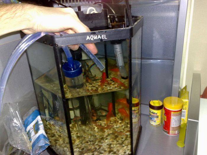 Сколько нужно отстаивать воду для аквариума?