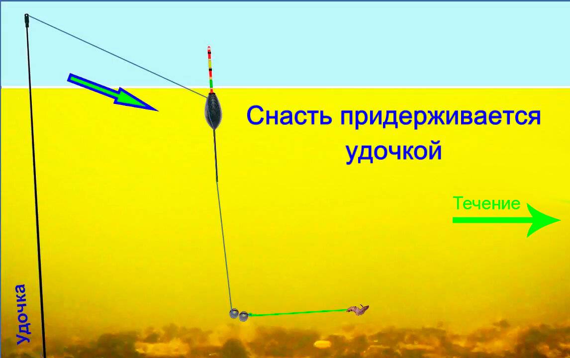 Ловля чехони — особенности рыбалки - fishingwiki