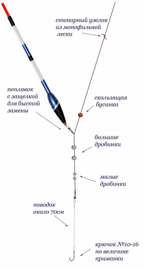 Ловля болонской удочкой тактика и оснастка