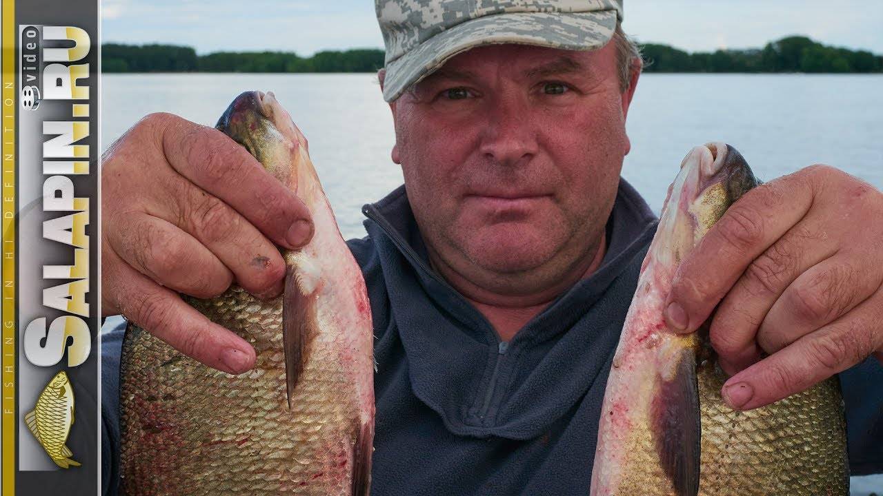 Рыбалка в плещеевом озере: цены, особенности, как добраться