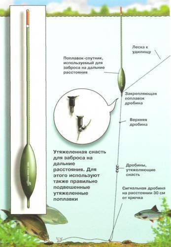 Ловля линя летом: что нужно знать, приемы ловли и лучшие места