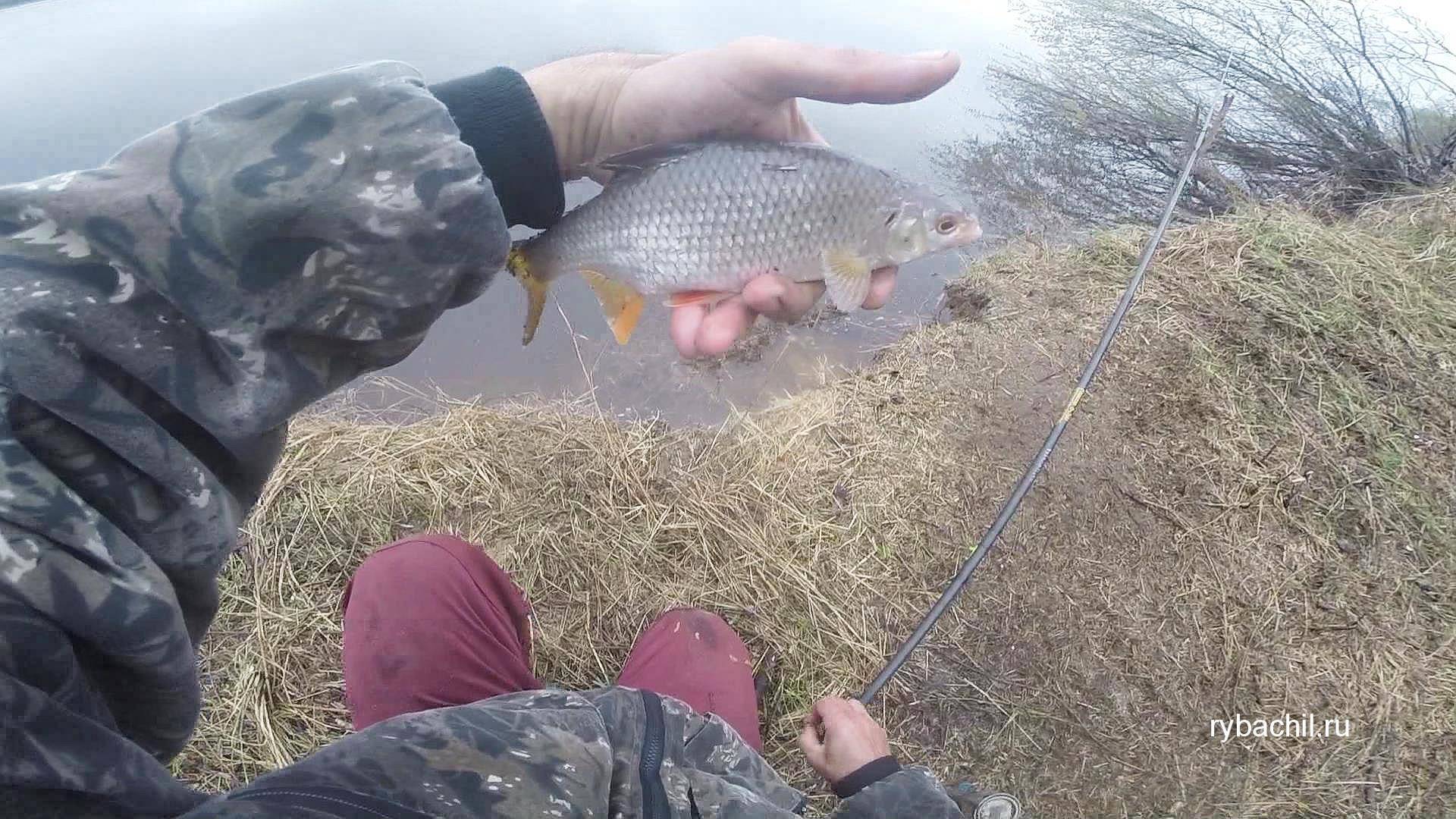 Рыбалка на линя весной
