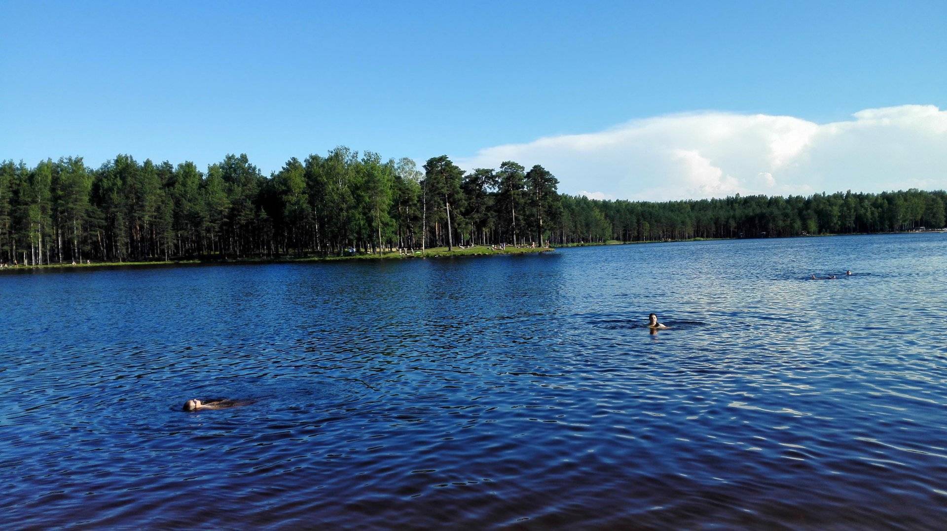 Озеро долгое (длинное), ленинградская область. рыбалка, базы отдыха, фото, видео, как добраться — туристер.ру