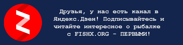 можно сделать ловушку для рыбы. Смотреть фото можно сделать ловушку для рыбы. Смотреть картинку можно сделать ловушку для рыбы. Картинка про можно сделать ловушку для рыбы. Фото можно сделать ловушку для рыбы