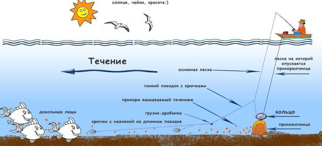 Как ловить на фидер с лодки: техника и нюансы рыбалки
