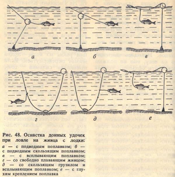 Живец на спиннинг: оснастка и закрепление приманки