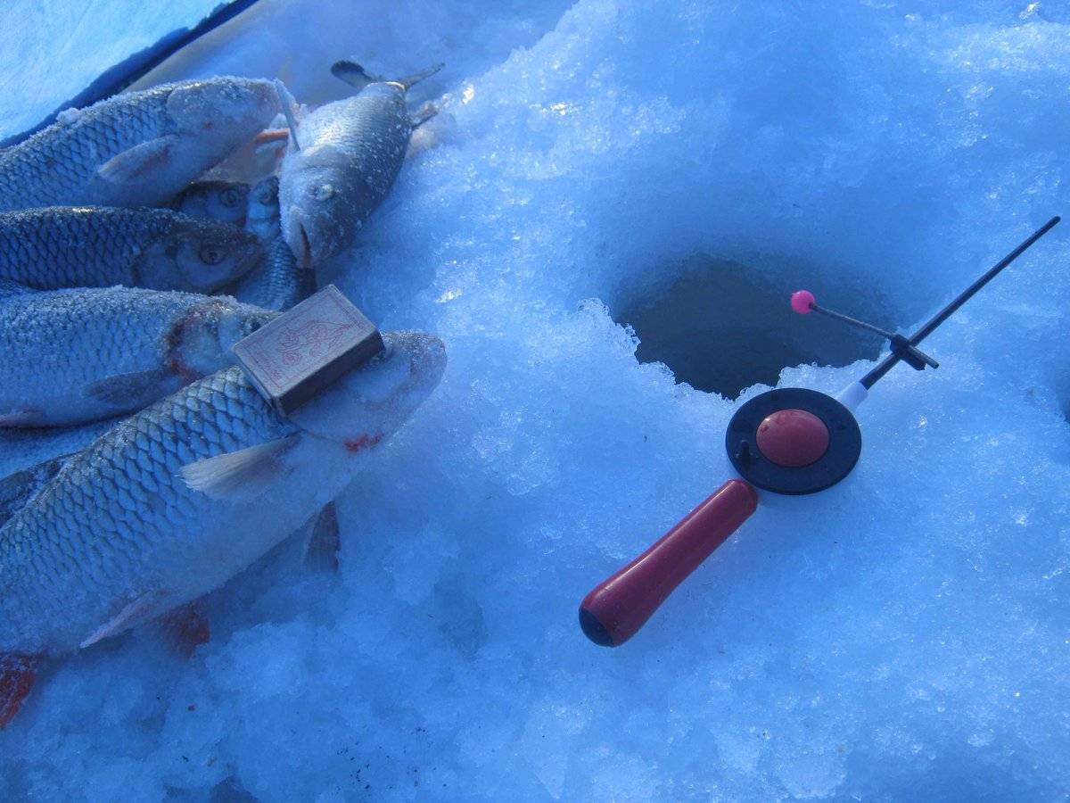 Ловля окуня по первому льду на мормышку