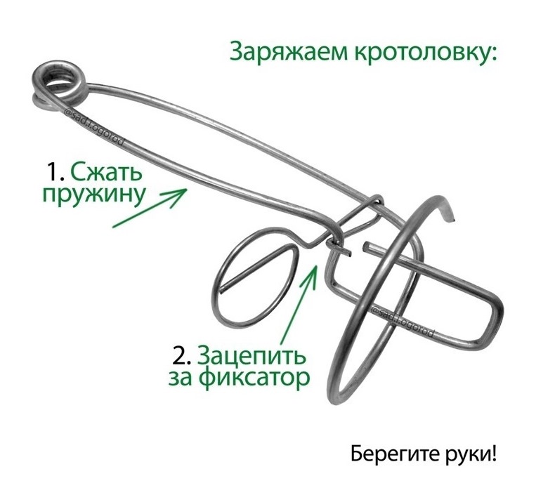 Чертежи кротоловка михаил бурашников