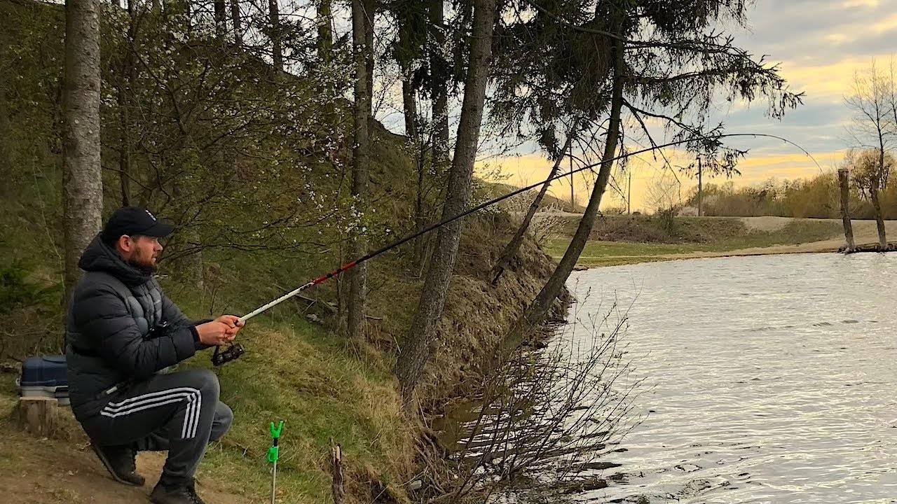 какая рыба водится в реке северная двина и ее притоках. Смотреть фото какая рыба водится в реке северная двина и ее притоках. Смотреть картинку какая рыба водится в реке северная двина и ее притоках. Картинка про какая рыба водится в реке северная двина и ее притоках. Фото какая рыба водится в реке северная двина и ее притоках