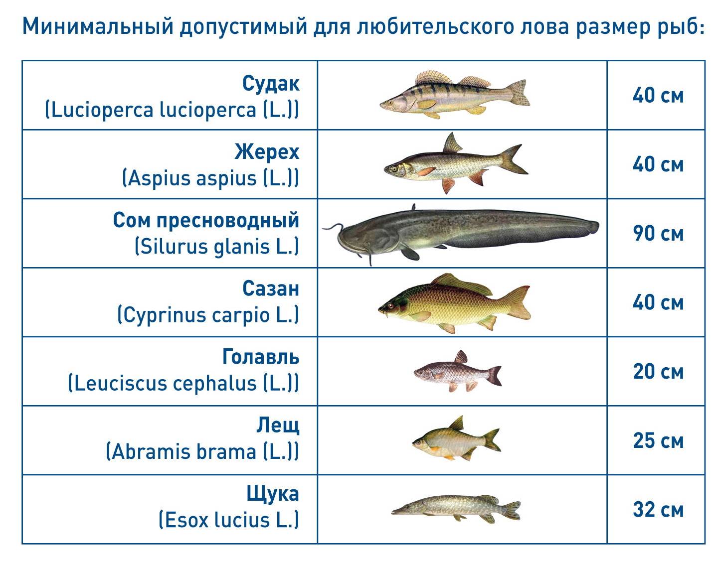 Рыбалка в москве и подмосковье: карта рыболовных мест в московской области, где ловить рыбу
