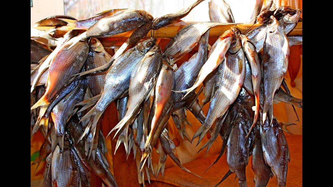 Как солить плотву для сушки - рецепт от рыбаков