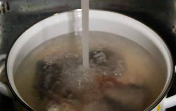 Рыбный суп из горбуши. 9 простых рецептов приготовления из консервированной и свежей рыбы