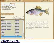 Пресноводная рыба горчак: описание и содержание