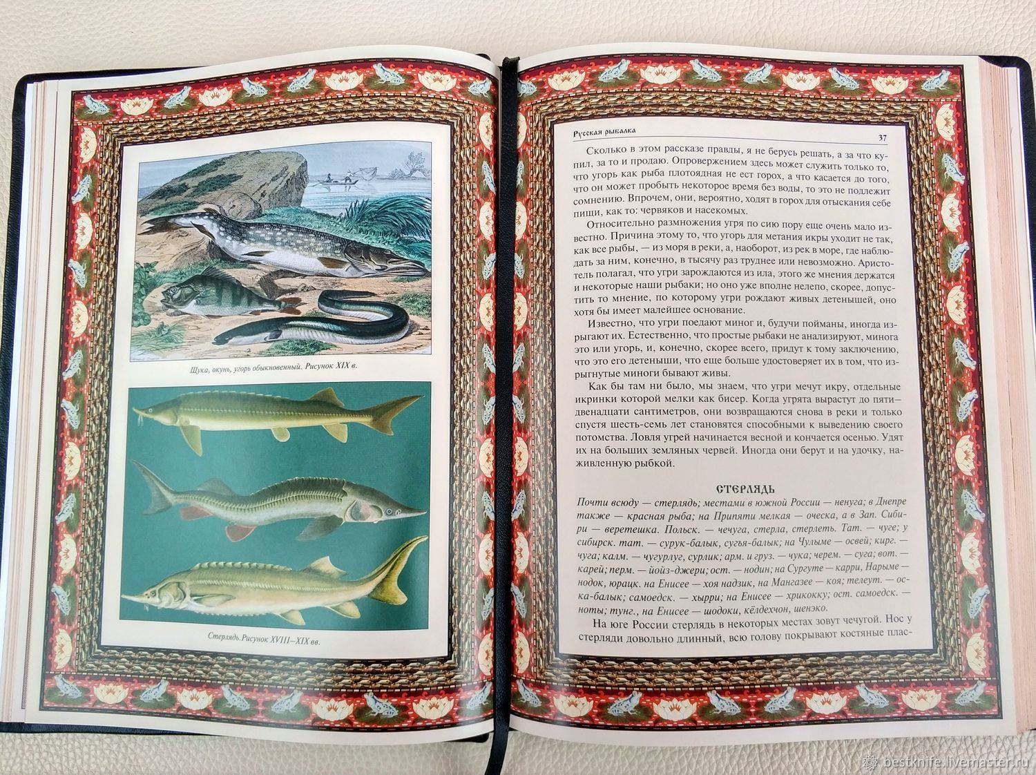 Книги о рыбалке: список лучших книг ТОП 10 рейтинг!