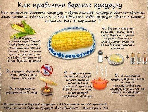 Как правильно и сколько варить молочную кукурузу?