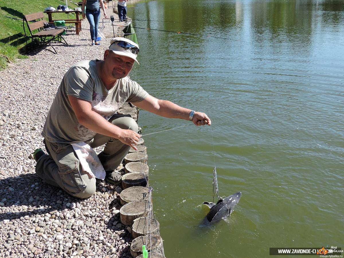 Платная рыбалка на львовских прудах - отзывы и видео с водоёмов